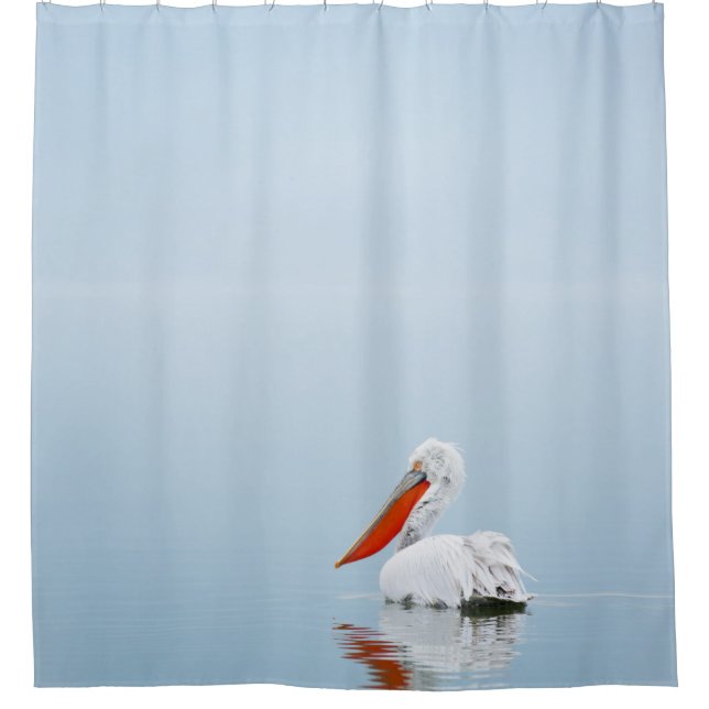 PELICAN ON BLUE WATER (Front)