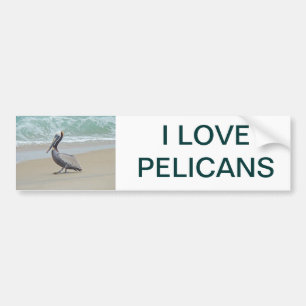 Pelican on Outer Banks OBX NC Bumper Sticker