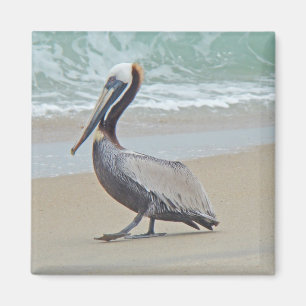 Pelican on Outer Banks OBX NC Magnet