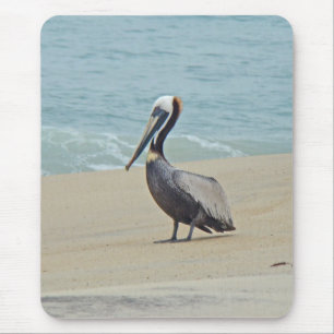 Pelican on Outer Banks OBX NC Mouse Pad