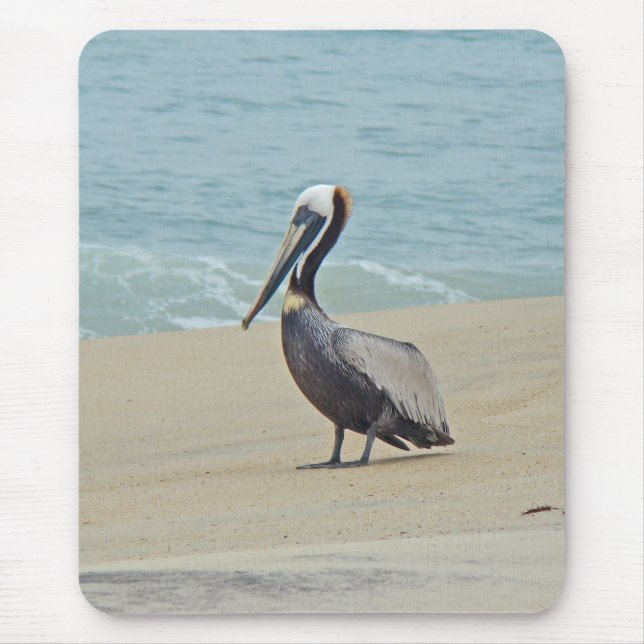 Pelican on Outer Banks OBX NC Mouse Pad (Front)