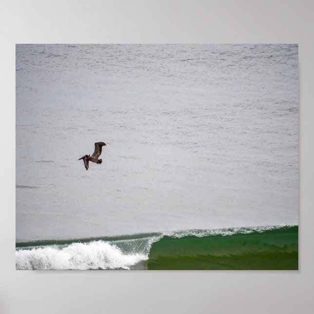 Pelican Over the Wave Poster (Front)