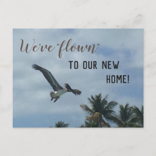 Pelican Palm Trees New Address Announcement