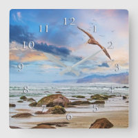 Pelican Patrol Beach Shoreline