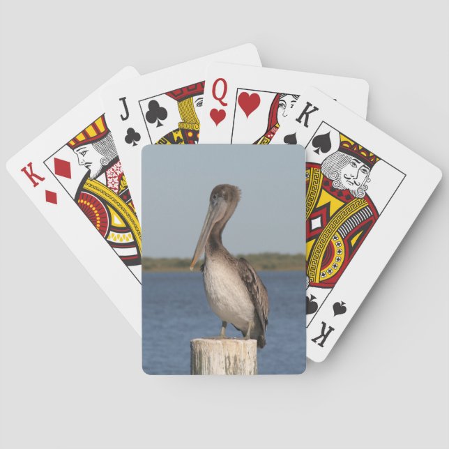 Pelican Photograph Deck of Cards (Back)