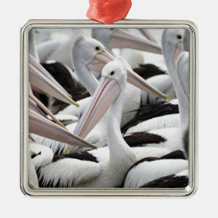 Pelican Pod Metal Ornament