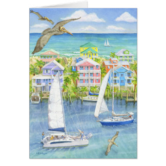 Pelican Point of View