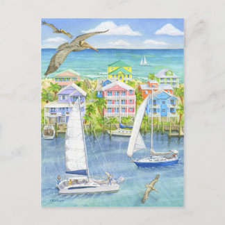 Pelican Point of View Postcard