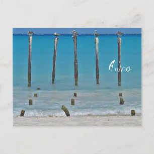Pelican Posts Aruba Postcard