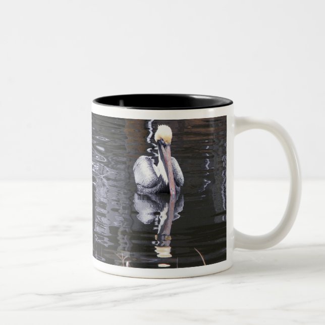 Pelican Reflecting Two-Tone Coffee Mug (Right)