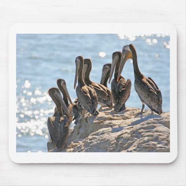 Pelican Rock Mouse Pad (Front)