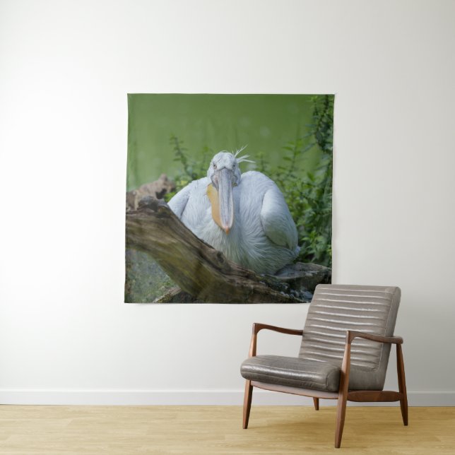 Pelican Serenity A Captivating Gaze Tapestry (In Situ)