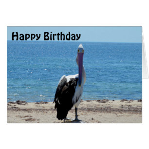 Pelican Stare Down, Birthday Card