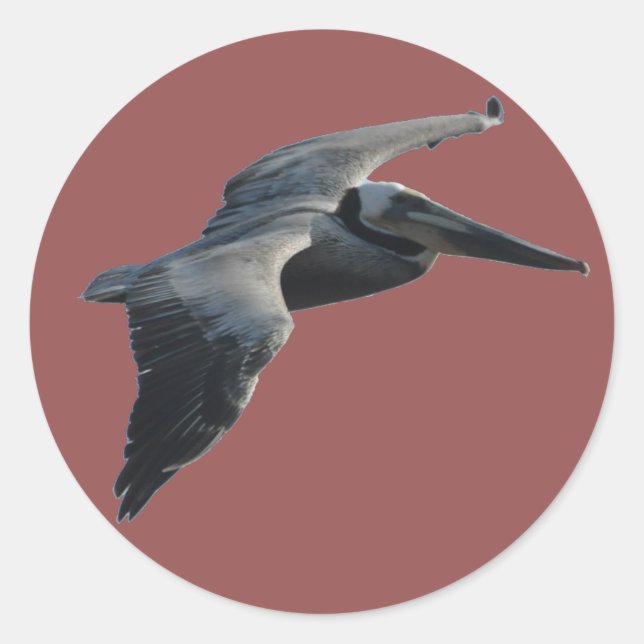 Pelican Sticker (Front)