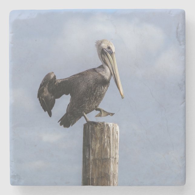Pelican Stone Coaster (Front)