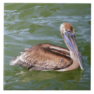 Pelican Tile