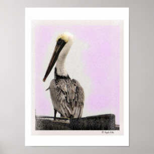 Pelican - Tinted / Black Frame Print