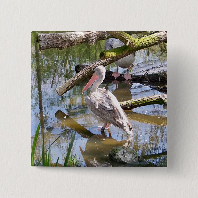 PELICANS 2 INCH SQUARE BUTTON (Front)