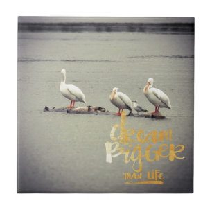 Pelicans and Seagull Dream Bigger Tile