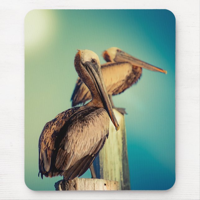 Pelicans at Dawn  Mouse Pad (Front)