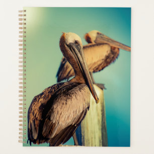 Pelicans at Dawn Planner