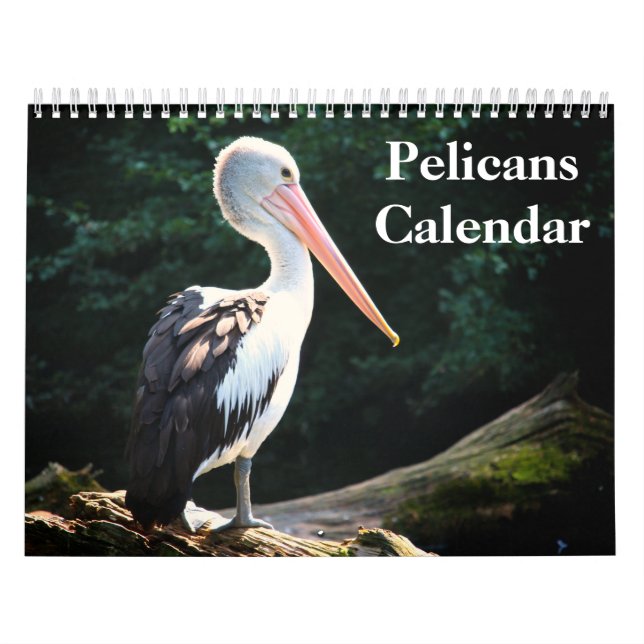 Pelicans Bird Calendar (Cover)