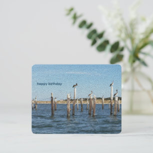 Pélicans Bonne carte d'anniversaire