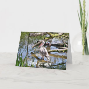 PELICANS CARD