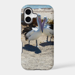 Pelicans In Love,