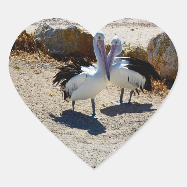 Pelicans In Love, Heart Sticker (Front)