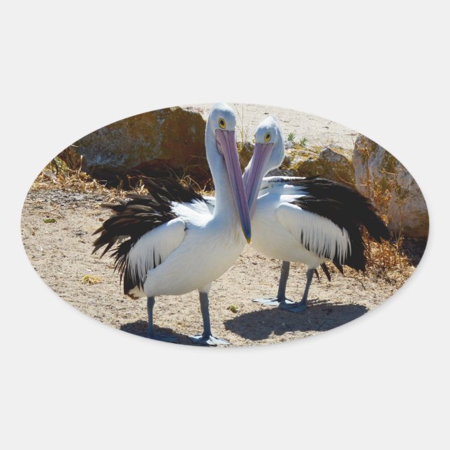 Pelicans In Love, Oval Sticker (Front)