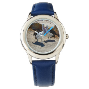 Pelicans In Love, Watch