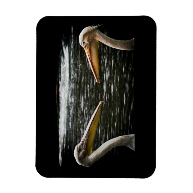 PELICANS LOVERS MAGNET (Vertical)