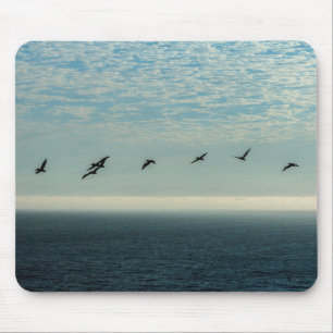 Pelicans Mouse Pad