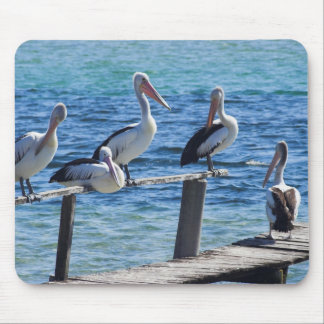 Pelicans Mouse Pad