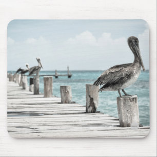 Pelicans on Dock Mouse Pad HAMbyWG