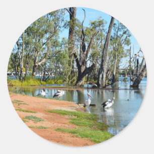 Pelicans Sunbaking River Murray Australia Stickers