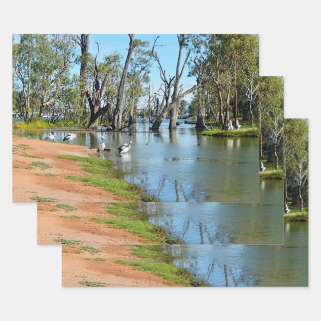 Pelicans Sunbaking River Murray, Gift Wrap Sheets (Set)