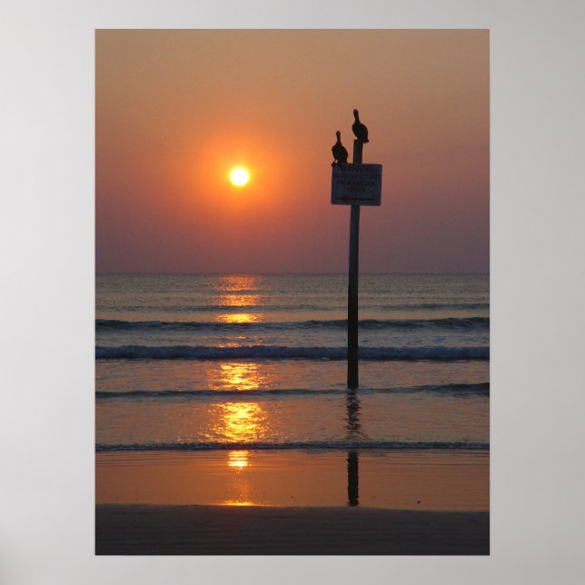 Pelicans Sunrise Ocean Daytona Beach FL Poster (Devant)