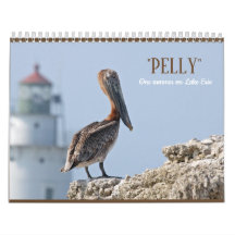 "Pelly - One Summer on Lake Erie" Wall Calendar