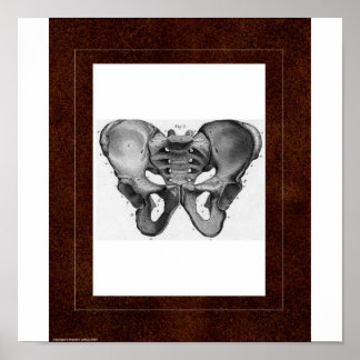 Pelvis Spirit House Poster