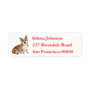 Pembroke Corgi Chien coquelicot gallois