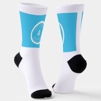 Pembroke (Massachusetts) city flag Socks