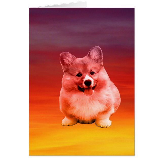 Pembroke Welsh Corgi Assis Sur La Plage (Devant)