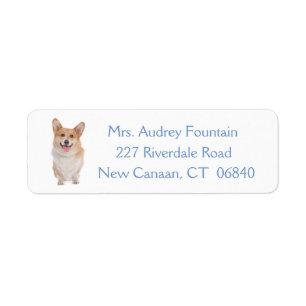 Pembroke Welsh Corgi Chien chiot