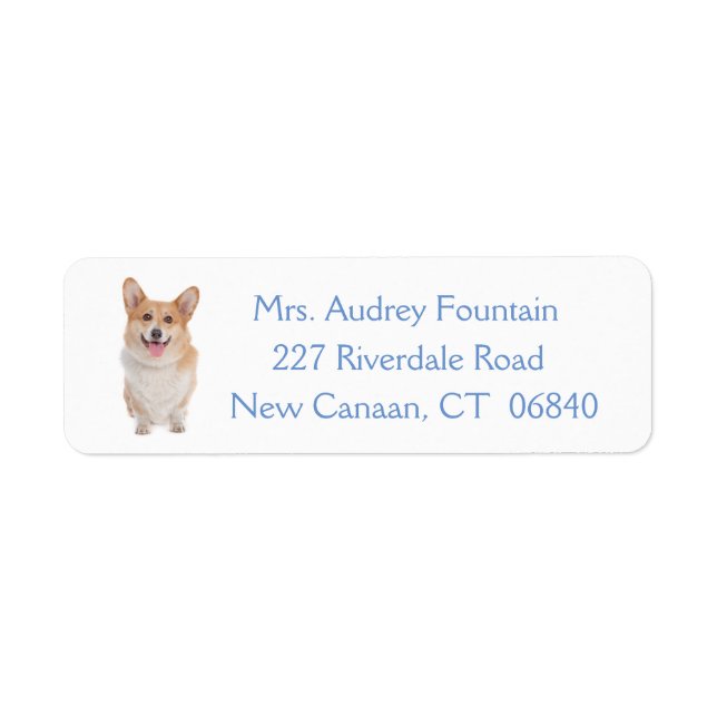 Pembroke Welsh Corgi Chien chiot (Devant)