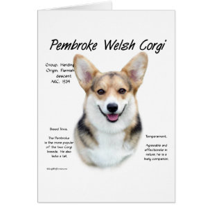 Pembroke Welsh Corgi Conception de l'histoire