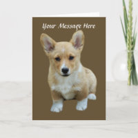 Pembroke Welsh Corgi Cute Greeting Card