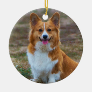 Pembroke Welsh corgi Dog Ceramic Ornament