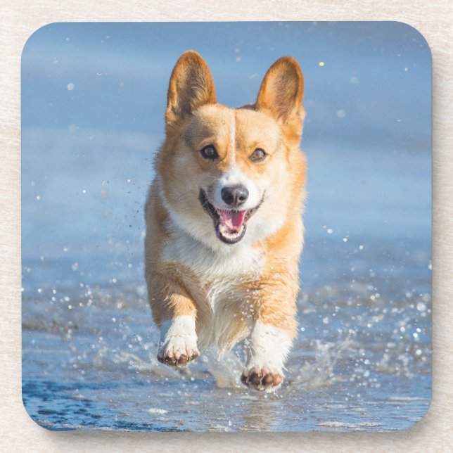Pembroke Welsh Corgi Dog Running On The Beach Coaster (Front)